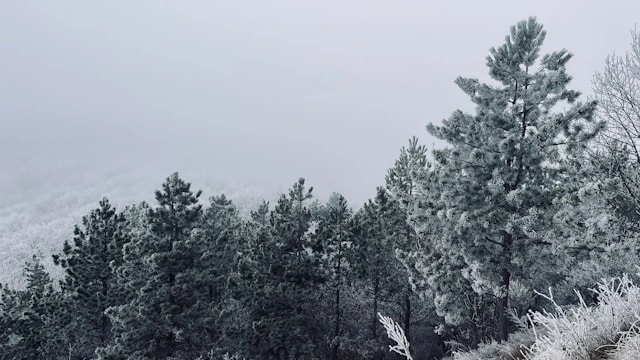 Silvestrovský výstup na Skačiansky Zobor