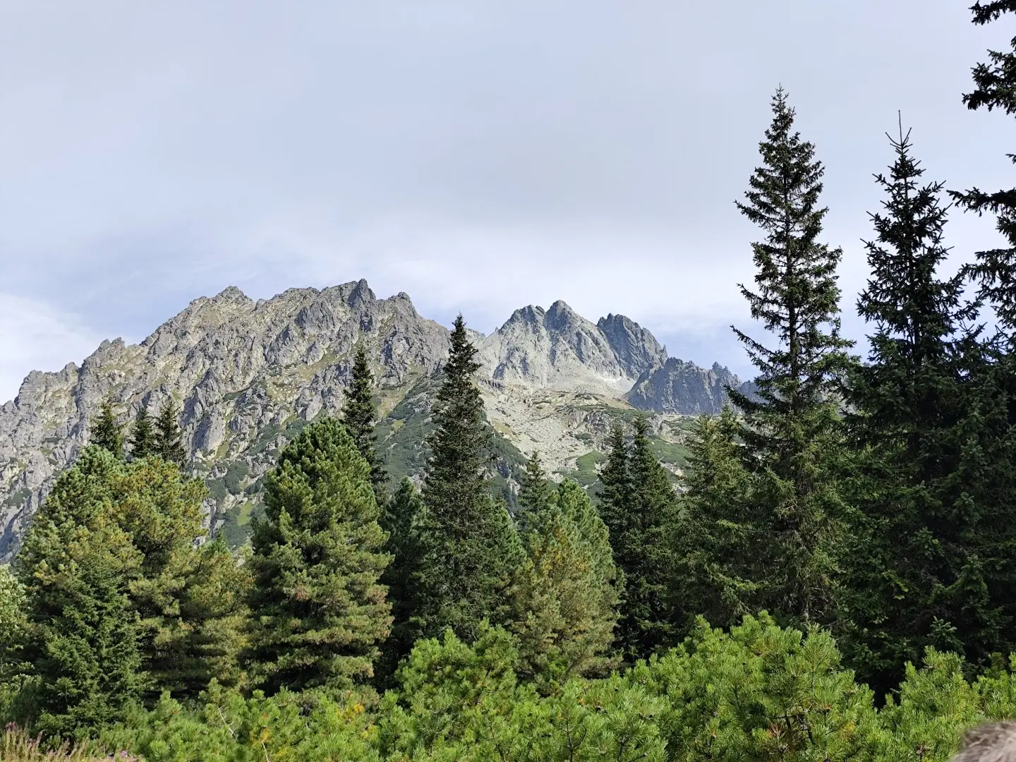 Vysoké Tatry